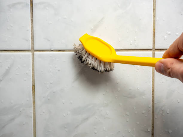 Best Mold Removal and Inspection  in Dumas, TX