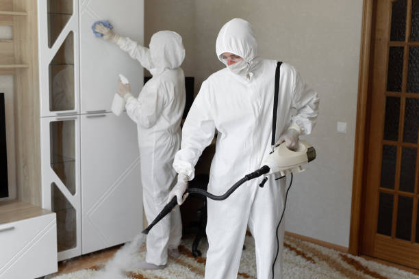 Mold Removal and Inspection in Dumas, TX