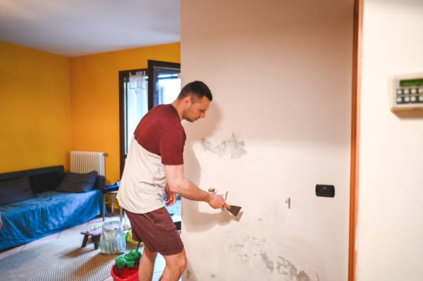Best Local Mold Removal Service  in Dumas, TX